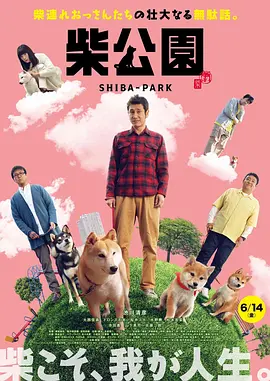 中文字幕视频二区