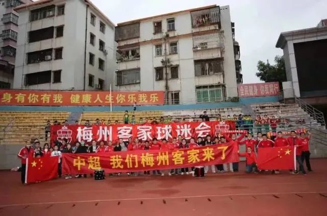 小猫的搞笑视频