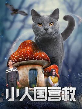 黄色+视频+卡1+国产