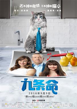 老婆的姐妹
