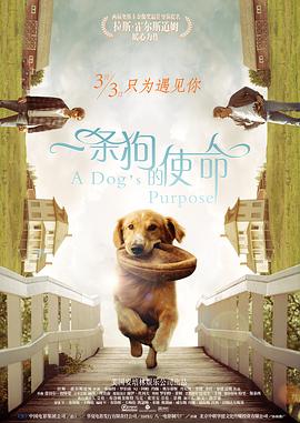 尻庇视频