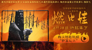 yellow视频在线高清免费www