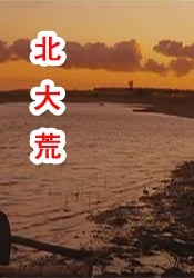 日日干夜夜拍