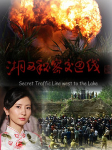 老司机入口