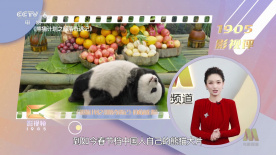 色综合久久久久